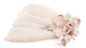 Calamar Patagonic S/P Net 8x1kg Pereira