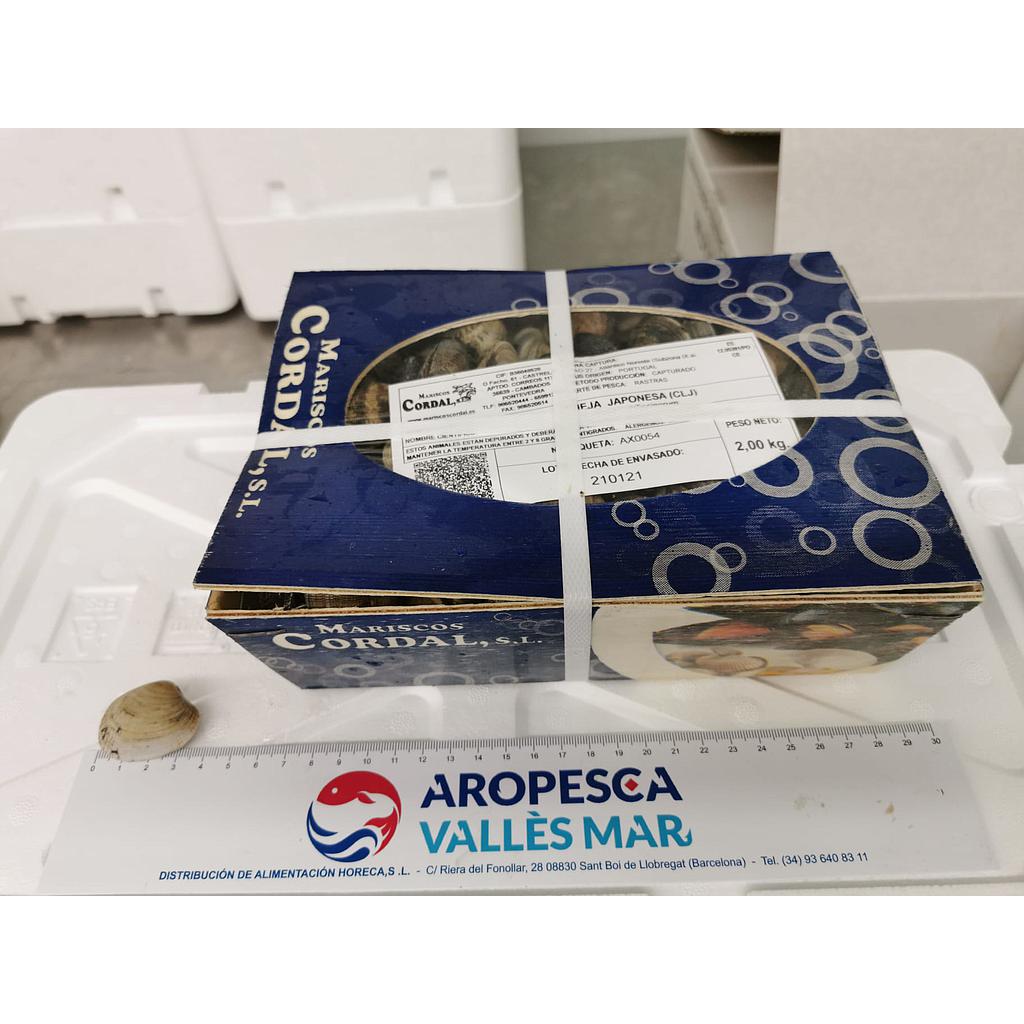 Cloïssa MG 40/60 Cordal