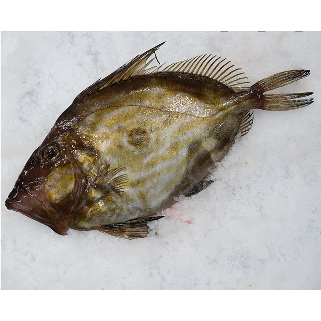 Gallo San Pedro 1000-1500 g/pz