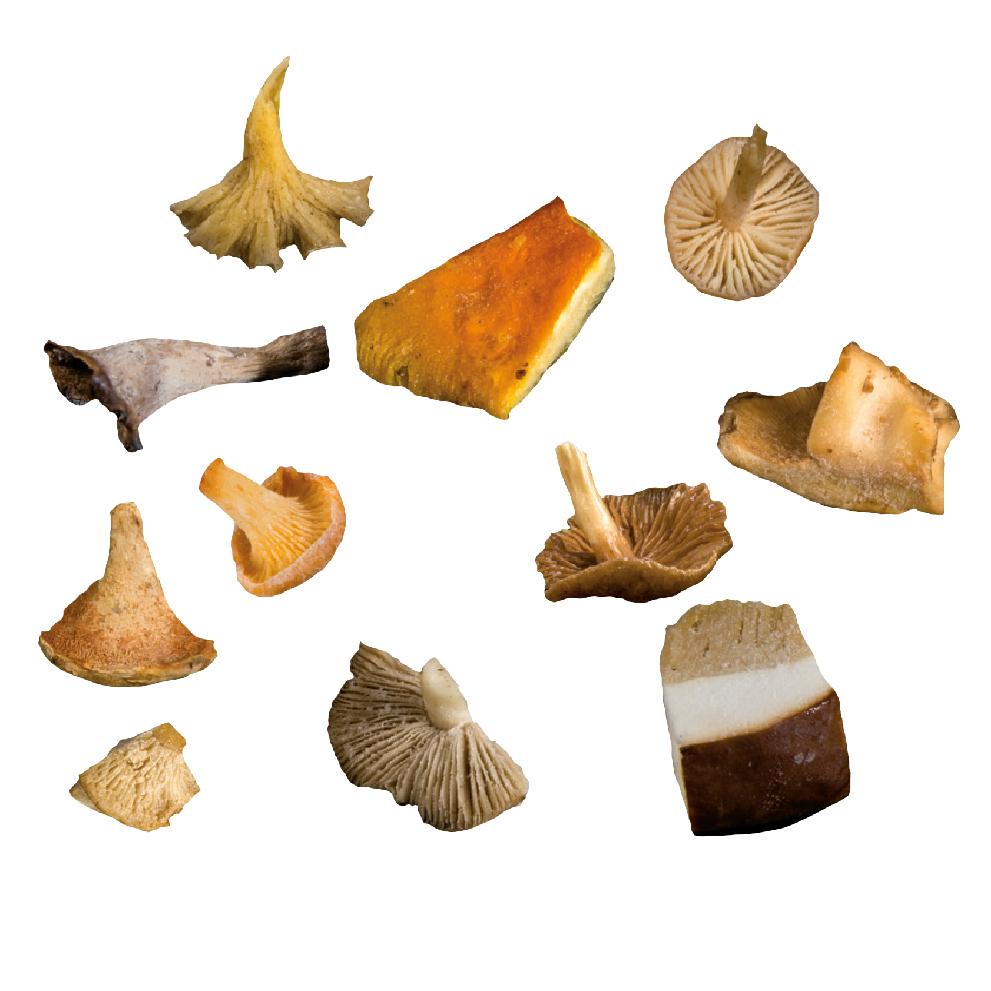 Mezcla Setas Silvestre 11v La Selecta B/1kg