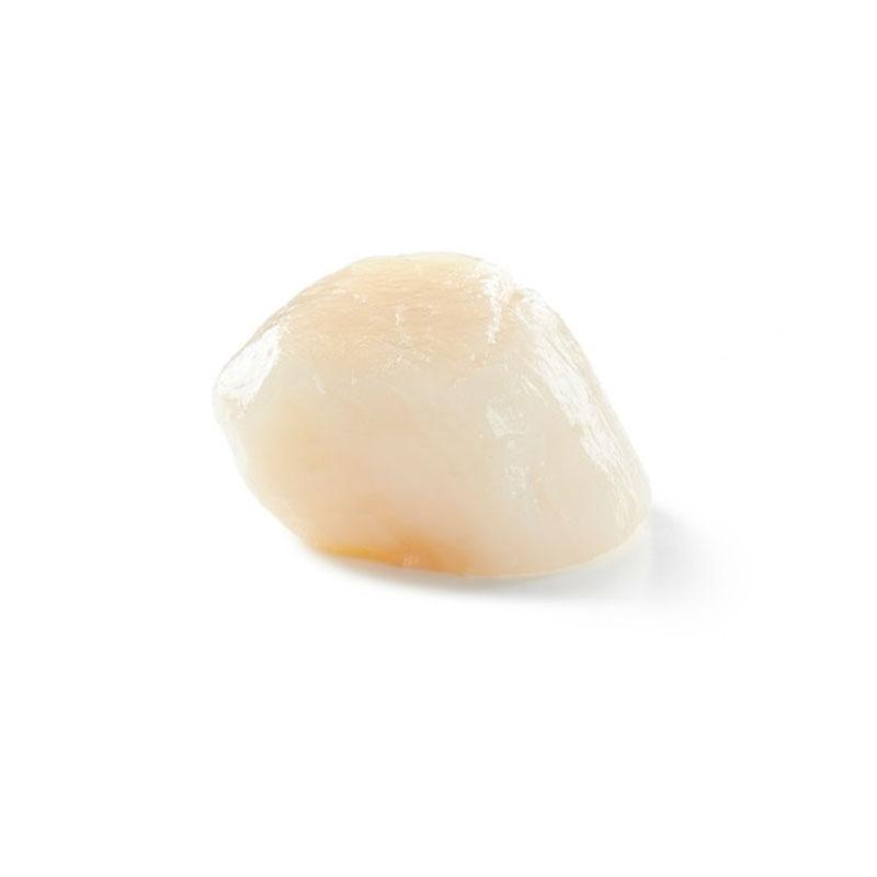 Vieira Canada 44-46 pz/kg (M) 1kg