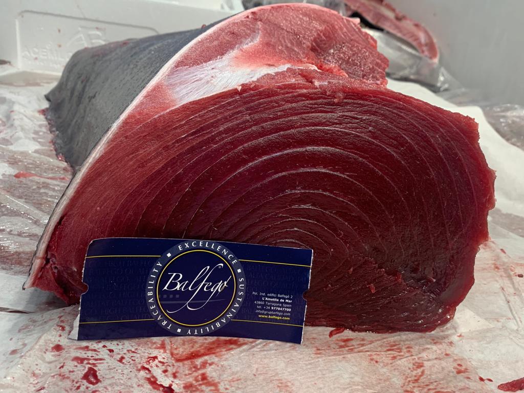 Atun Lomo "pecho" BF Balfego