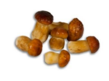 Boletus Enteros (2-4)cm (5x1kg) 5kg Petràs