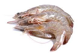 Langostino Cola Vannamei 9-11 g/pz (41-50)