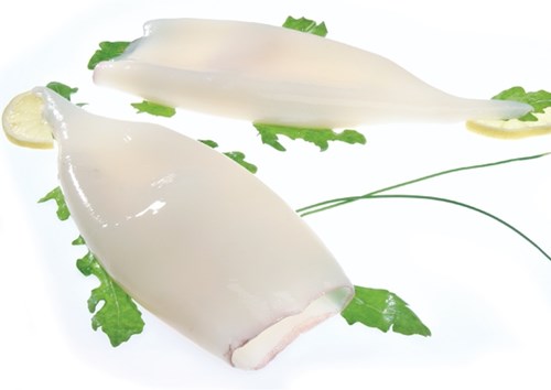 Pota Tubo Gigas +200g/pz 5kg