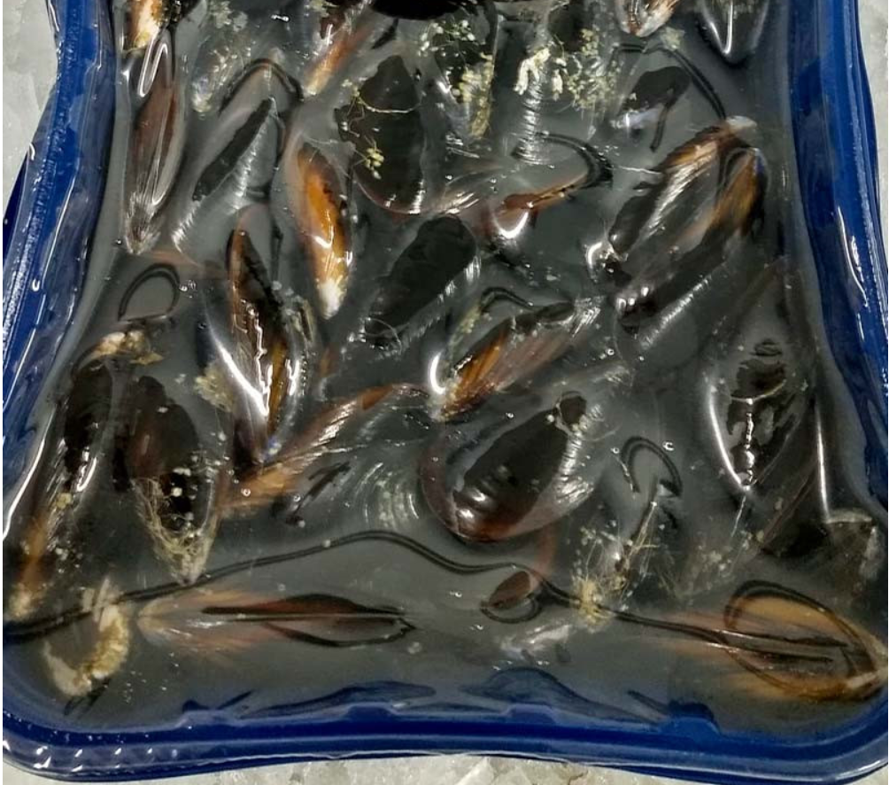 Musclo Atmosfera (Safata1kg)