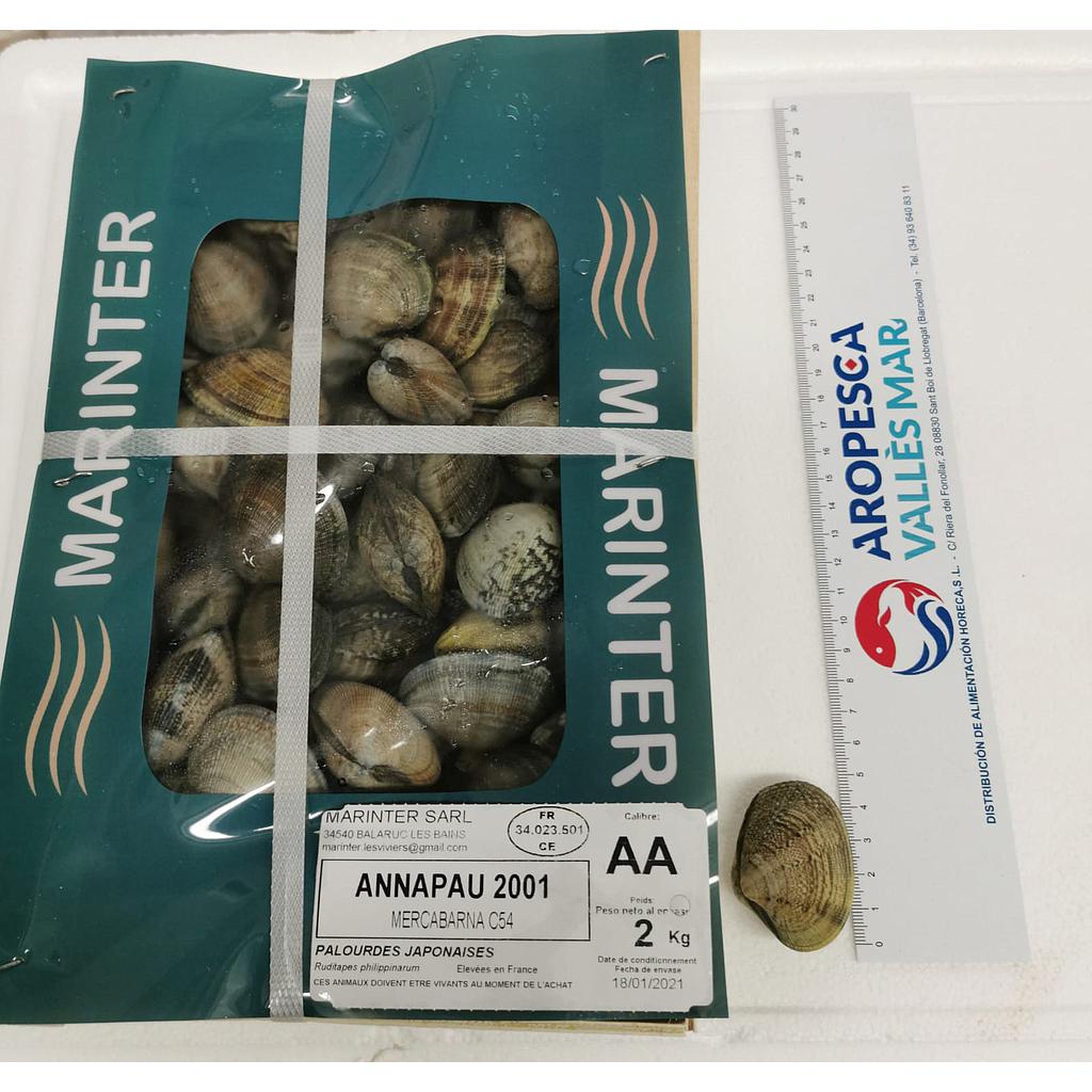 Cloïssa Marinter Mediterrani 30/40 AA CJ 2 KG