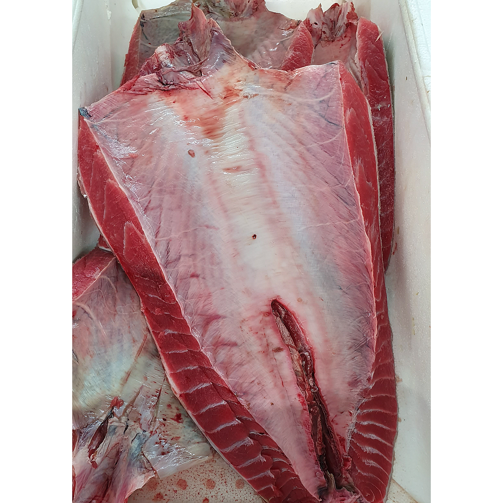 Atun Parpatana Pulido 300-500 g/pz Cong