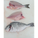 Dorada Piscifactoria Nacional 200-300 g/pz