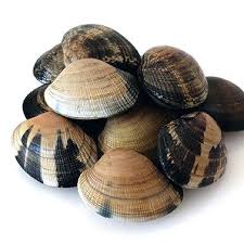 Almeja AGD 50/60 1kg