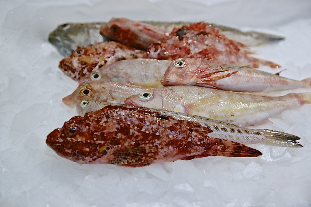 Fritura Fresca 5 varietat Cj/3kg