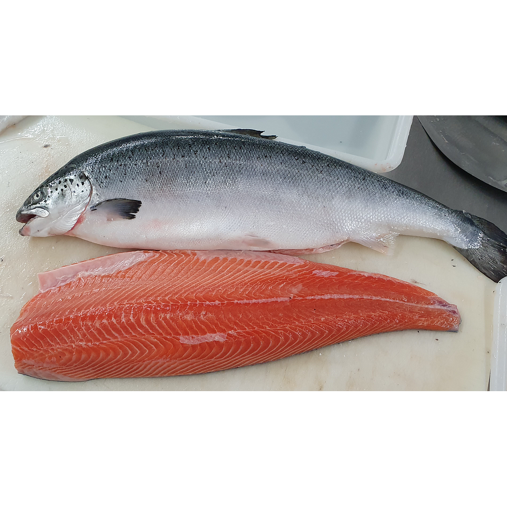 Salmon High Quality 6000-7000 g/pz