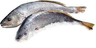 Corvina Salvaje 15/20Kg Origen