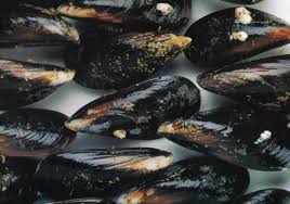 Mejillón Roquita Gallego 5kgs