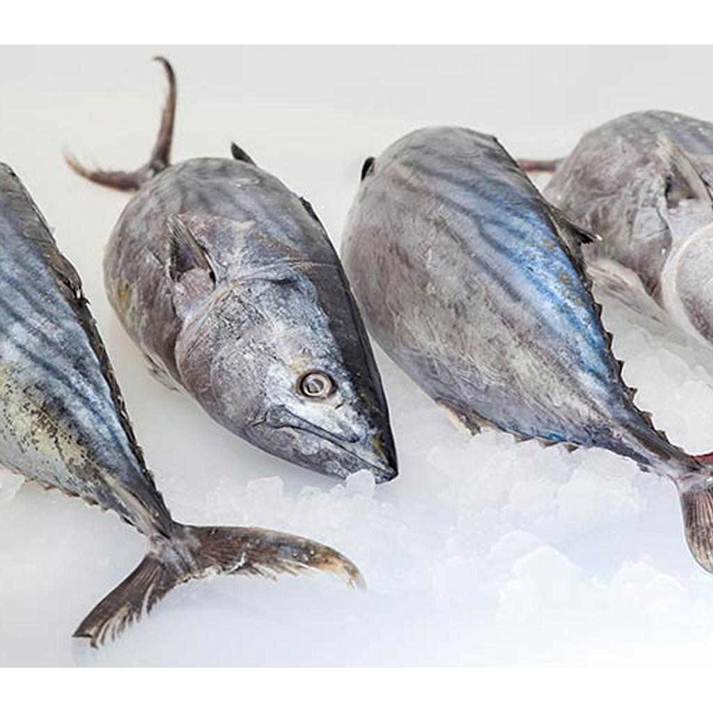 Bonito 2000-3000 g/pz