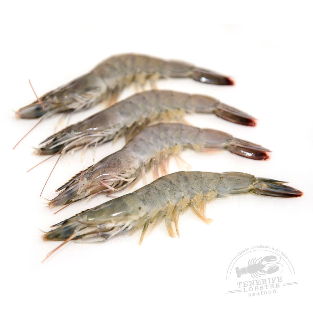 Langostino Fresco P 55/60 pz