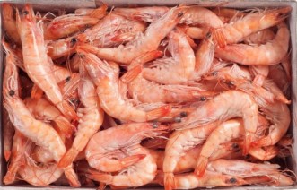 Langostino Cocido 17-25 g/pz (40-60) 6x2kg