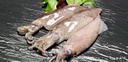 Calamar Patagonico 12-15 cm (4L) ±5kg