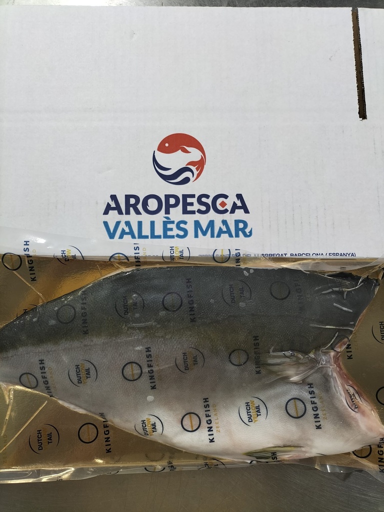 Hamachi -60º Filete 900-1000gr Cong