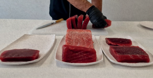 Atun Saku 1 Especial Shibumi Cong 300gr