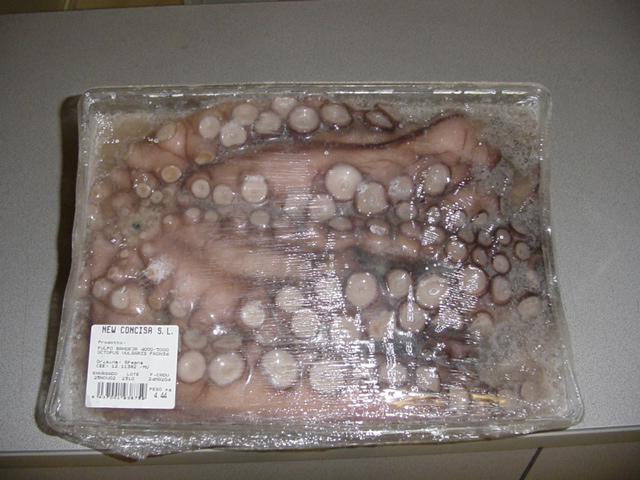 Pulpo Cabezón