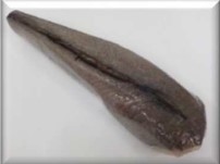 Merluza Entera HGT Del Cabo 2000-2500 g/pz