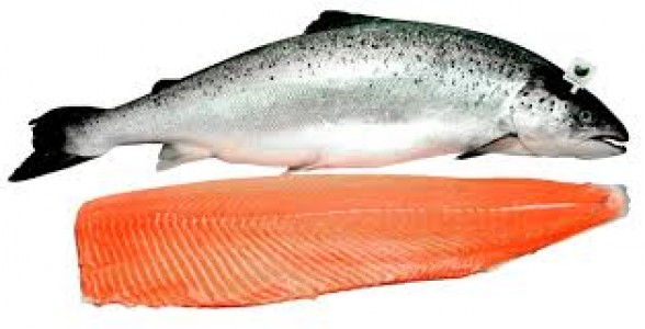 Salmon Ahumado Entero Noruego 1000-1400 g/pz