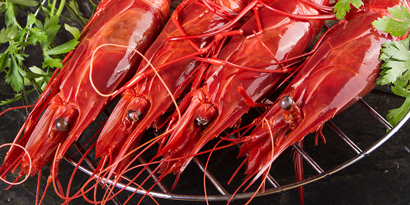 Caps Carrabiner Moruno