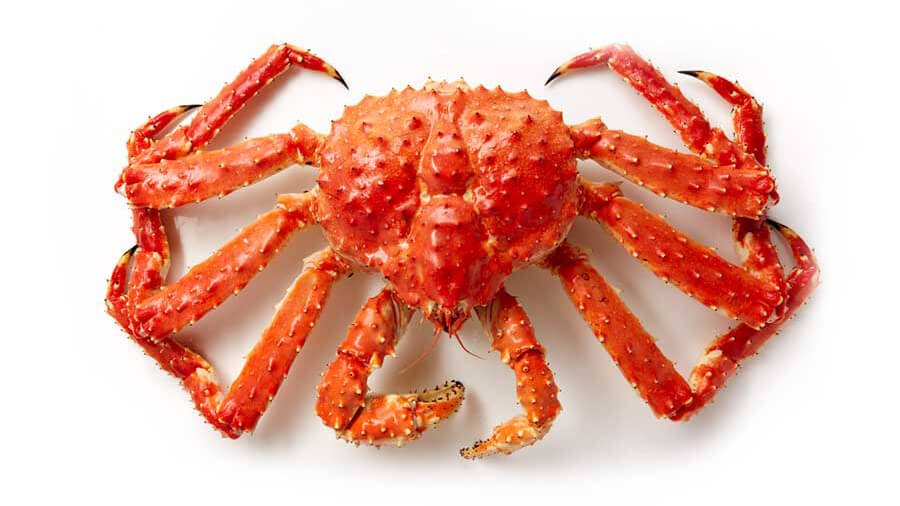 Cangrejo Real (King Crab)
