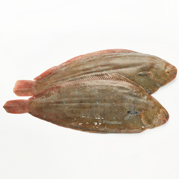 Lenguado Vivero 300-400 g/pz