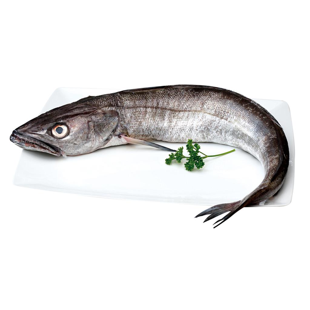 volanta norte 1500/2000