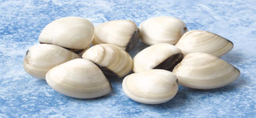 [C3350002] Almeja Blanca Fishook 12-16 g/pz (60-80) 7x1kg