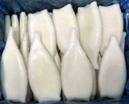 [C3360002] Pota Tubo Limpio Illex Fishook 140-180 g/pz (18-21) 7kg