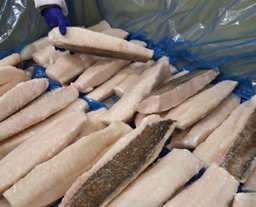 [C3214317] Bacalao Lomo Islandia 800+ g/pz 5kg