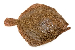 [7587] Rodaballo Salvaje 1000-2000 g/pz