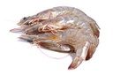 [C3310588] Llagostí Vannamei 30/40 (25-35 g/pça) 10x2kg