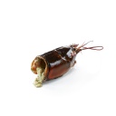 [C3320401] Bogavante Cabeza 12kg