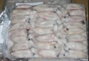 [C3381062] Calamar Puntilla Marruecos 10kg