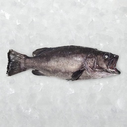 [7560FC] Mero Fileteado Congelado