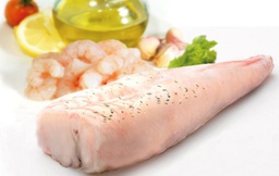 [718S] Rap Sencer Costa 600/800