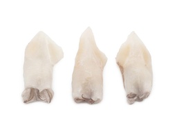 [C3384021] Calamar Limpio Indio -50 g/pz (20-40) 6x1kg