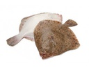 [C3242001] Turbot 1000-1500 g/pza Caixa ±12kgs
