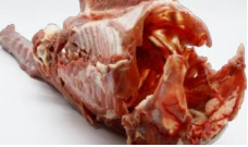 [3510P] Ànec Carcasses Congelades