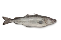 [7093] Fogonero S/Cabeza 2000-4000 g/pz