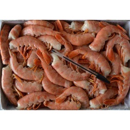 [C3310538] Llagostinera Cua C2 C/P 6x2Kg