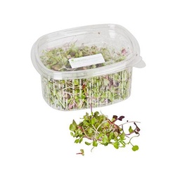 [SL-CG001] Microbrots Mix Safata 100G
