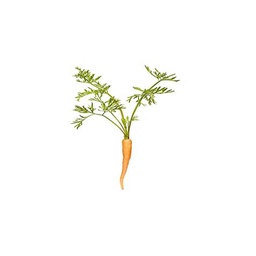 [SL-CGV10] Zanahoria Baby 20un