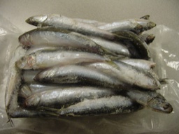 [708X] Boqueron Fresco