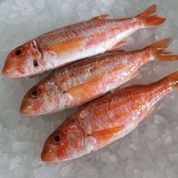 [7921] Salmonete 300-400 g/pz