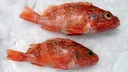 [F3217501]  Escorpora Origen 400-600 g/pz